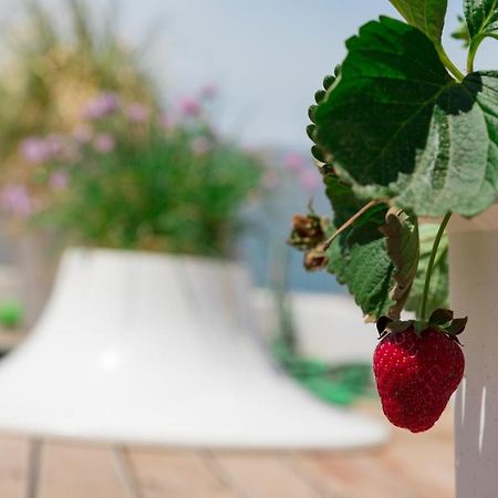 Dreamy Aegean View Daire Atina Dış mekan fotoğraf